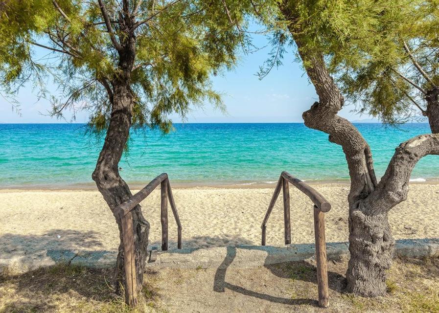 San Giorgio Luxury Apartments Ιερισσός Εξωτερικό φωτογραφία